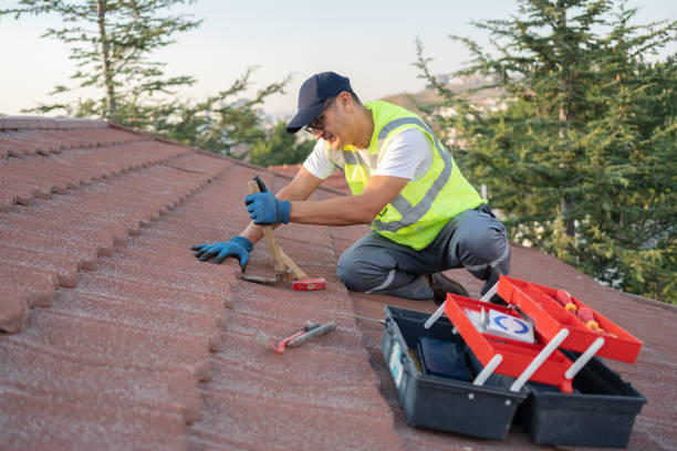 Best Roof Gutter Cleaning  in Carolina Forest, SC